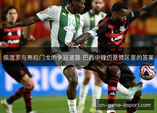 佩德罗与弗拉门戈的争冠道路 巴西中锋仍是禁区里的答案 佩德罗与弗拉门戈的争冠道路 巴西中锋仍是禁区里的答案